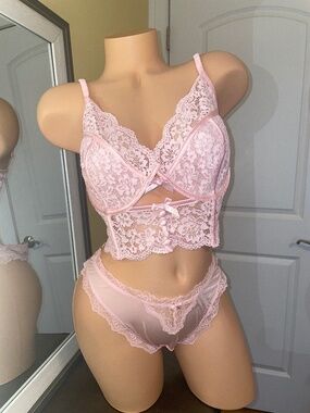 For Love & Lemons Pink Creamsicle Bustier & VS Satin Brazilian Panty-38DD/XL NWT